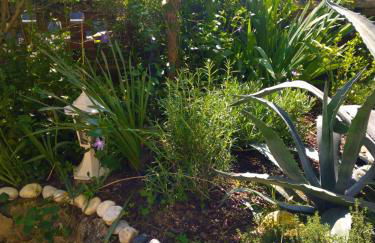 Le Gite de la Loire - Photo 35