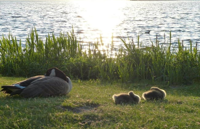 Apartment, Oldenburg in Holstein - Foto 33