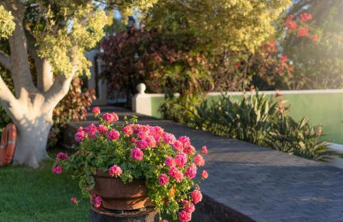 La Palma Jardín Resort - Foto 26