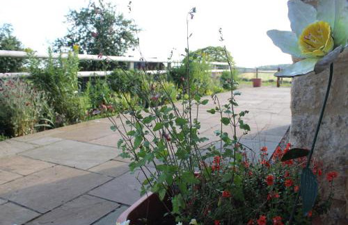 Parkfields Barns Self Catering Accommodation - Foto 53