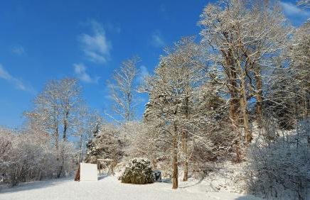 Fewo Gabriela Allgäu - Photo 36