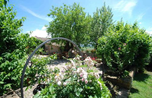 Agriturismo Etrusco - Foto 44