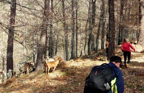 Casa Cerro da Correia - Foto 62