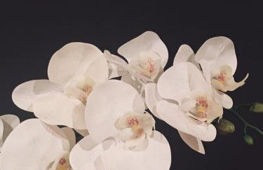 No.10 Broadway - Foto 32