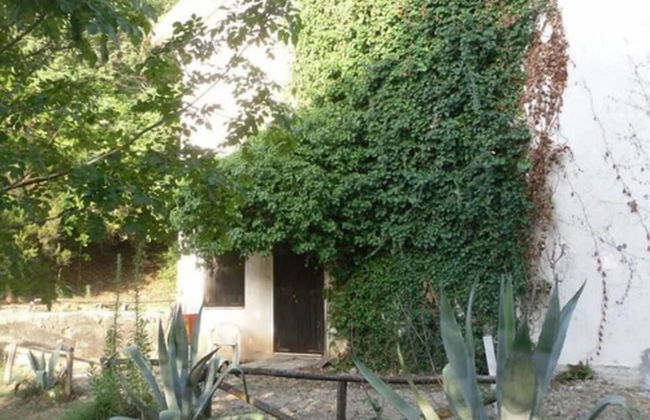 Le Dieci Querce - Foto 27