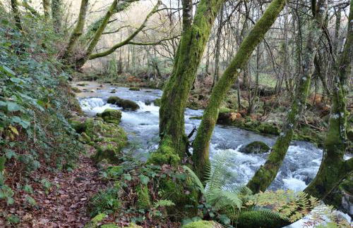 Quinta da Riba Má - Foto 21