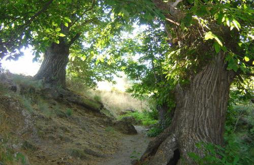 Cortijo Prado Toro - Foto 53