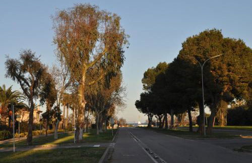 Near Beach - Foto 18