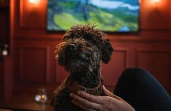 Huntly House - A Residence Like No Other - Foto 32