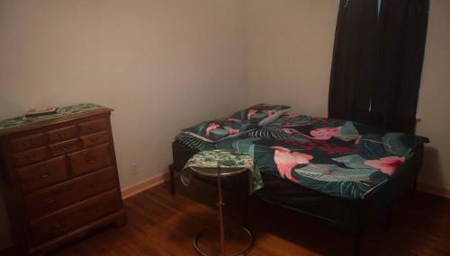 Tropical Deco in Toledo - Foto 2