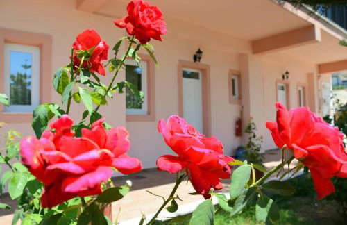 Red Rose Garden - Photo 1