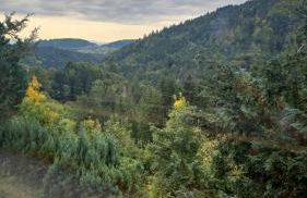 Haus Panorama mit Alpenblick - Foto 36