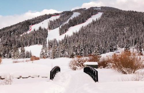 MTN View - Close to Lifts - Heated Pool - Copper - Foto 48