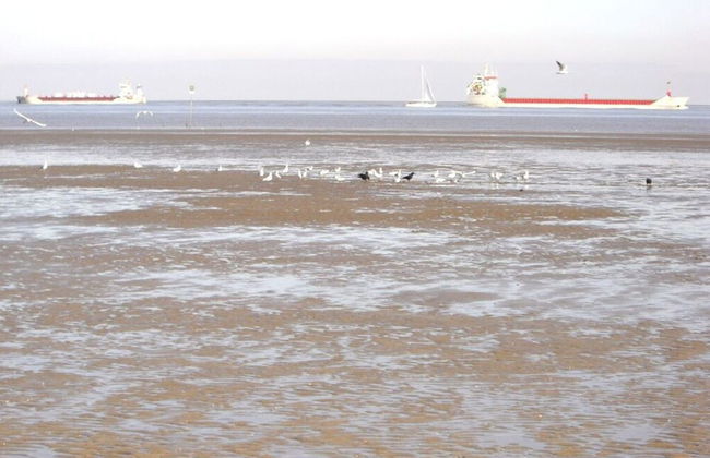 Seehund Comfortable Holiday Residence - Foto 17