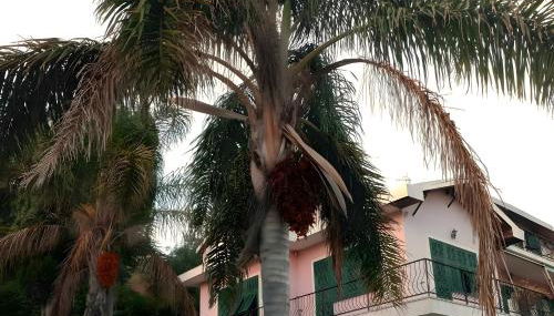 Villa Bella Vista - Foto 4