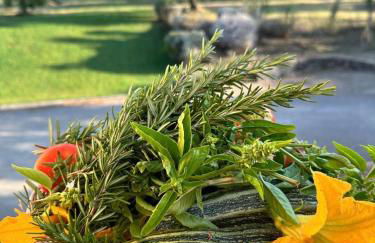 Melarancio Home - Foto 40