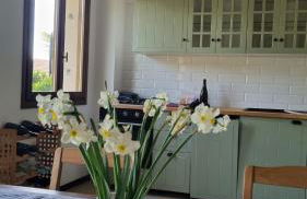 Casa Florian - Foto 20