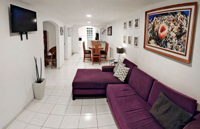 HominngBird - Foto 56