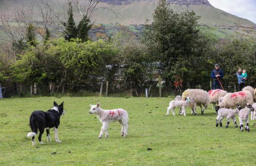 GlenHaven Holiday Accommodation - Foto 5