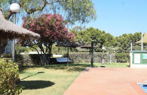 Anacasa Las Viñas Playa Rotas AP2140 - Photo 22