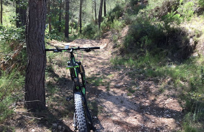 Masia La Safranera - Foto 27