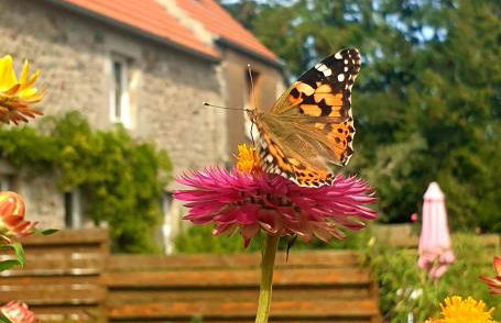 Gîte du Clos Giot - Foto 33