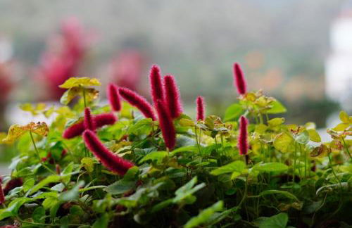 Suites Los Telares - Adults Recommended - Foto 31