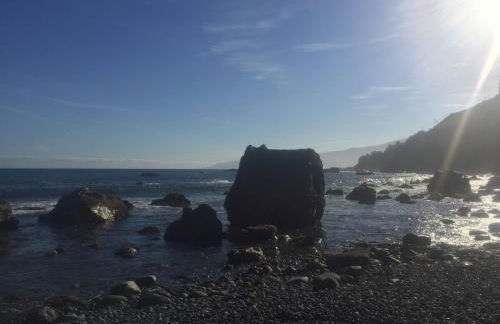 Los Alenes en Flor - Foto 7