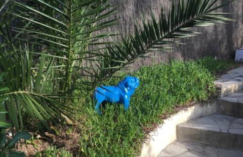 AzuRoMarin - Foto 34