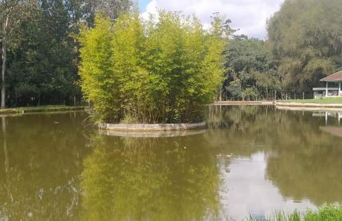 Cabanas Carpe Diem 1 - Photo 26