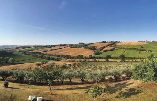 Ancient Country House With Swimming Pool - Foto 43