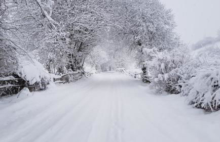 Jörglmoar - Photo 10