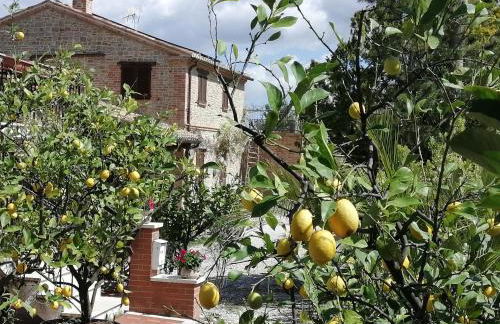 Casale San Martino Agriturismo Bio - Foto 30