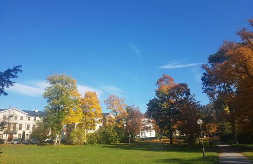 Villa am Park - Foto 52