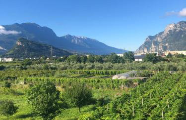 Il nido di Arco - Foto 12
