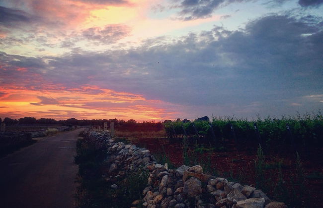 Antica Masseria Jorche - Foto 32