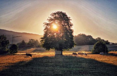 Habelberg Apartments - Foto 21