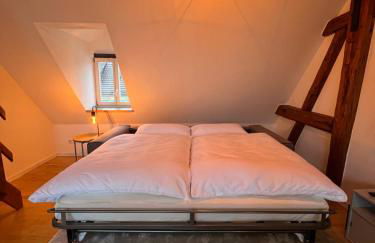 LudwigsHome Zentralste Lage, Klima, SmartTV, Terrasse - Foto 14