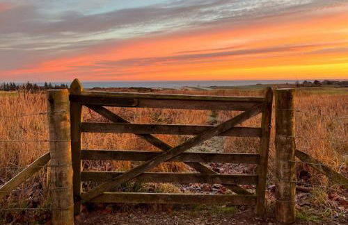 At The Bay - Foto 12