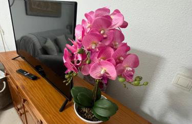 Estudio MAR EN CALMA, Primera Línea de Playa con Vistas al Mar - Foto 27