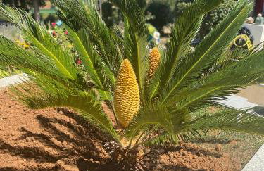 Apartments Villa Lora - Foto 73