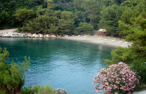 Apartments by the sea Cove Blaca, Mljet - 10416 - Photo 33