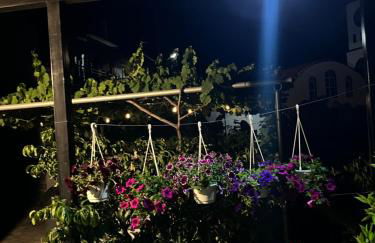 Pandeklare - Photo 16