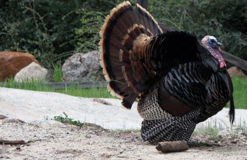 Time Traveler Retreat - Foto 34