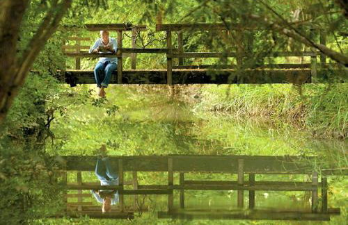 Villa in Venice with Private Pool & Park - Foto 27