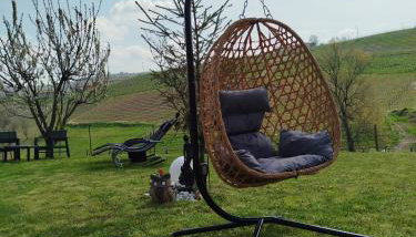 Aria Pura - Photo 3, Garden, sunbed