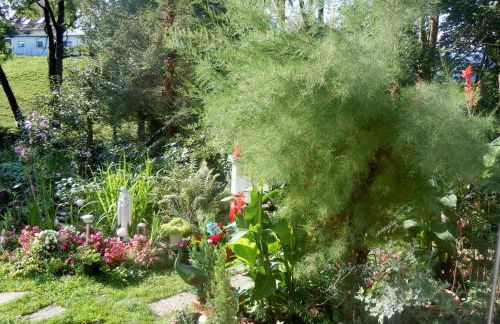 Ferieninsel an der Dreisam - Foto 23