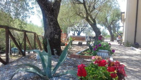 Petrus Cilento Rooms - Foto 3