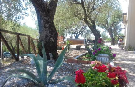 B&B Borgo San Antonio - Foto 29