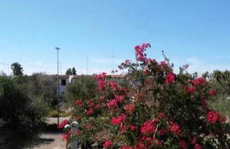 Appartamento a due passi dal Mare - Foto 14